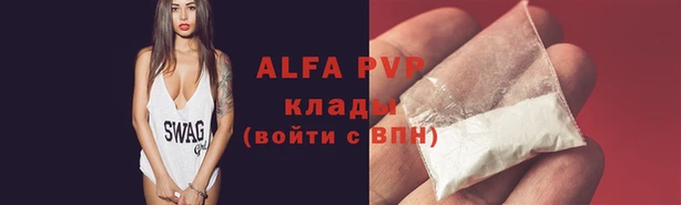 амф Покачи